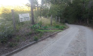 similar_image