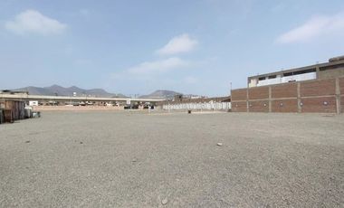 place photo 22