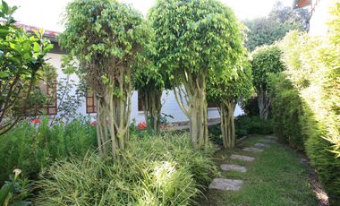 place photo 84