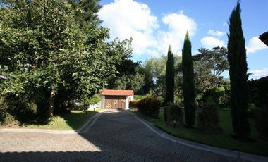 place photo 89