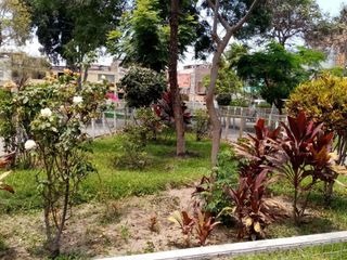 Foto 30 de 🏡 ¡VIVE EN LA MEJOR ZONA DEL RÍMAC EN URB VENTURA ROSSI! DEPARTAMENTO JUNTO A PARQUE 🌳✨
