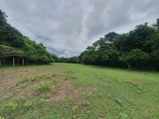 Foto 3 de Encantadora finca 3 hectáreas en Ricaurte, Colombia.