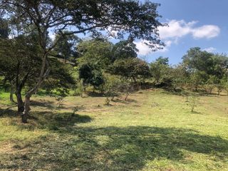 Foto 13 de Lote para Conjunto Residencial Campestre