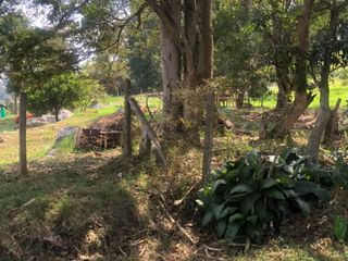 Foto 7 de Lote para Conjunto Residencial Campestre