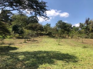 Foto 12 de Lote para Conjunto Residencial Campestre