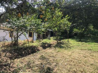 Foto 14 de Lote para Conjunto Residencial Campestre