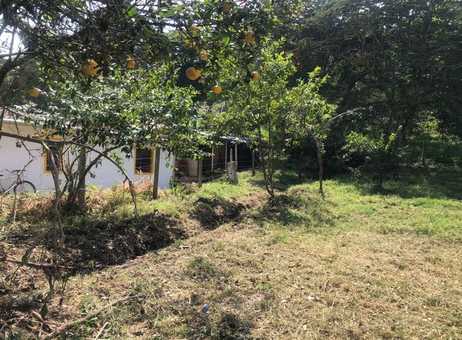 place photo 14