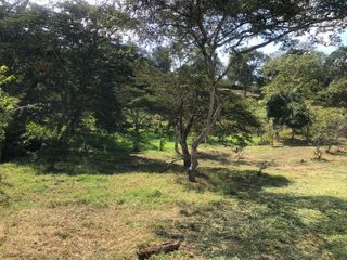 Foto 15 de Lote para Conjunto Residencial Campestre