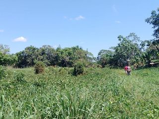 Foto 6 de Terreno Comercial En Rumo Cocha - Carretera A Santa Clara Km.3.4 - Maynas Loreto