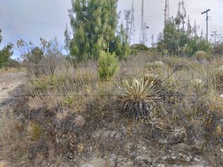 Foto 3 de TERRENO RURAL LOTE TUNAL DE 18997,32 M2