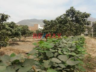 Foto 1 de Vendo Terreno En Condominio Privado En Conache 1,000 M2