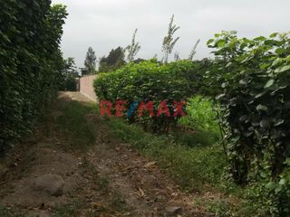 Foto 4 de Vendo Terreno En Condominio Privado En Conache 1,000 M2