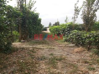Foto 6 de Vendo Terreno En Condominio Privado En Conache 1,000 M2