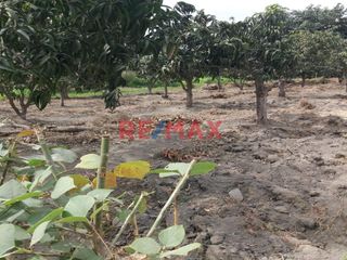 Foto 7 de Vendo Terreno En Condominio Privado En Conache 1,000 M2
