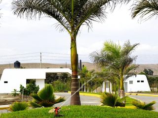 Foto 1 de Terreno a la Venta en Condominio Flamencos