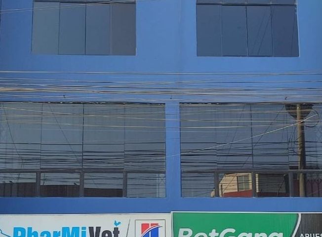 place photo 19