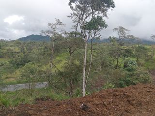 Foto 3 de 🌿 LOTIZACIÓN EN VENTA – VÍA A MINDO, A POCOS KILÓMETROS DE MINDO 🌿