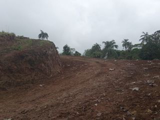 Foto 4 de 🌿 LOTIZACIÓN EN VENTA – VÍA A MINDO, A POCOS KILÓMETROS DE MINDO 🌿