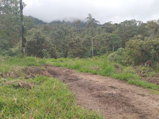 Foto 7 de 🌿 LOTIZACIÓN EN VENTA – VÍA A MINDO, A POCOS KILÓMETROS DE MINDO 🌿