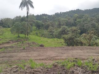 Foto 10 de 🌿 LOTIZACIÓN EN VENTA – VÍA A MINDO, A POCOS KILÓMETROS DE MINDO 🌿