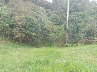 Foto 24 de 🌿 LOTIZACIÓN EN VENTA – VÍA A MINDO, A POCOS KILÓMETROS DE MINDO 🌿
