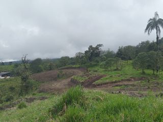 Foto 15 de 🌿 LOTIZACIÓN EN VENTA – VÍA A MINDO, A POCOS KILÓMETROS DE MINDO 🌿