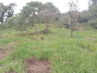 Foto 21 de 🌿 LOTIZACIÓN EN VENTA – VÍA A MINDO, A POCOS KILÓMETROS DE MINDO 🌿
