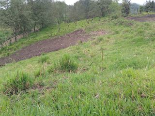 Foto 32 de 🌿 LOTIZACIÓN EN VENTA – VÍA A MINDO, A POCOS KILÓMETROS DE MINDO 🌿