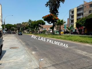 Foto 17 de Alquiler de Lindo Minidepartamento Las Palmeras Los Olivos