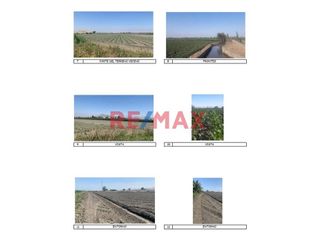 Foto 3 de Venta Terreno Agricola 0.6 Hectareas