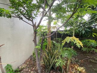 Foto 11 de Se vende casa Alborada Avenida Francisco de Orellana  frente a Mall del Río o La Gran Manzana PRINCIPAL