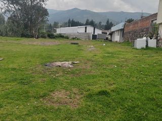 Foto 15 de ARRIENDO GALPÓN EN PIFO - SECTOR CHANTAG
