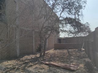 Foto 3 de Terreno 294 m2 en Ramon Castilla