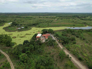Foto 4 de Hacienda en venta en Chongon, Via a la costa
