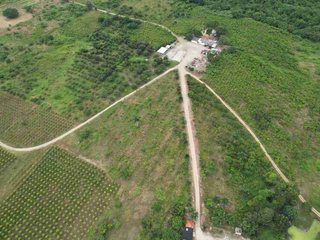 Foto 10 de Hacienda en venta en Chongon, Via a la costa