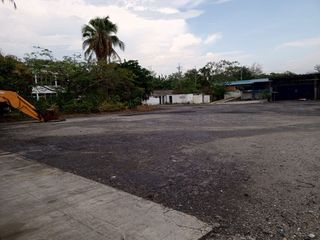 Foto 13 de Excelente bodega en arriendo ubicada en Buenos Aires,Tolima