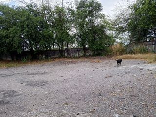 Foto 16 de Excelente bodega en arriendo ubicada en Buenos Aires,Tolima