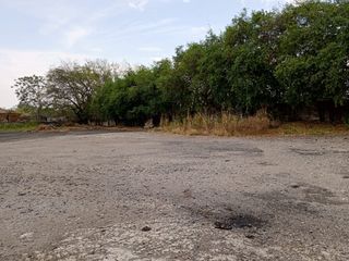 Foto 17 de Excelente bodega en arriendo ubicada en Buenos Aires,Tolima