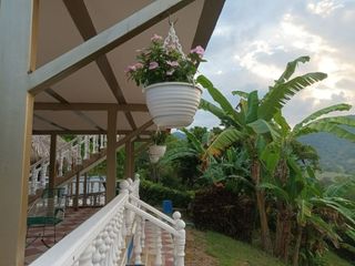 Foto 15 de Casa Campestre en Apulo Cundinamarca