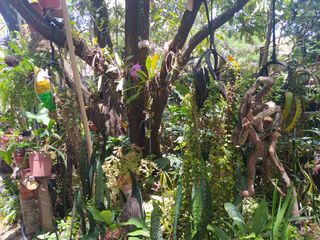 Foto 10 de QUINTA KRONOPIOS: Santuario natural, Casas camprestres en alquiler