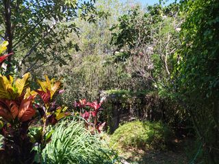 Foto 16 de QUINTA KRONOPIOS: Santuario natural, Casas camprestres en alquiler