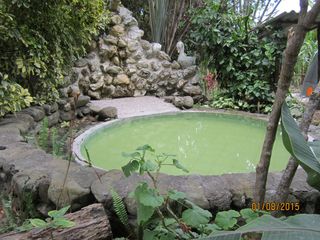 Foto 17 de QUINTA KRONOPIOS: Santuario natural, Casas camprestres en alquiler