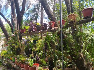 Foto 7 de CASAS CAMPESTRES EN RENTA: Quinta Kronopios, Santuario natural