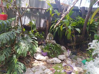 Foto 8 de CASAS CAMPESTRES EN RENTA: Quinta Kronopios, Santuario natural