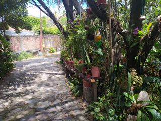 Foto 9 de CASAS CAMPESTRES EN RENTA: Quinta Kronopios, Santuario natural