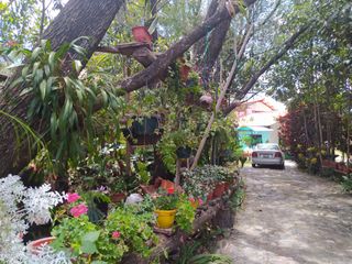 Foto 10 de CASAS CAMPESTRES EN RENTA: Quinta Kronopios, Santuario natural