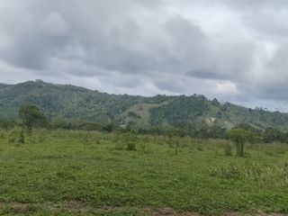 Foto 1 de 🌿 SE VENDE HACIENDA DE 120 HECTÁREAS EN RÍOVERDE - ESMERALDAS 🌿  📍 Ubicación: Cantón Ríoverde, Recinto Chontaduro, Provincia de Esmeraldas. 📏 Exte