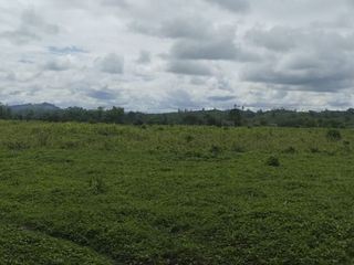 Foto 2 de 🌿 SE VENDE HACIENDA DE 120 HECTÁREAS EN RÍOVERDE - ESMERALDAS 🌿  📍 Ubicación: Cantón Ríoverde, Recinto Chontaduro, Provincia de Esmeraldas. 📏 Exte