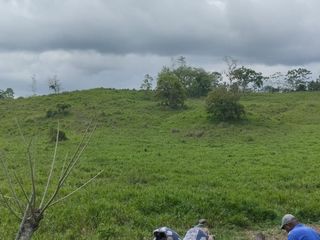 Foto 3 de 🌿 SE VENDE HACIENDA DE 120 HECTÁREAS EN RÍOVERDE - ESMERALDAS 🌿  📍 Ubicación: Cantón Ríoverde, Recinto Chontaduro, Provincia de Esmeraldas. 📏 Exte