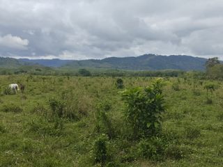 Foto 5 de 🌿 SE VENDE HACIENDA DE 120 HECTÁREAS EN RÍOVERDE - ESMERALDAS 🌿  📍 Ubicación: Cantón Ríoverde, Recinto Chontaduro, Provincia de Esmeraldas. 📏 Exte